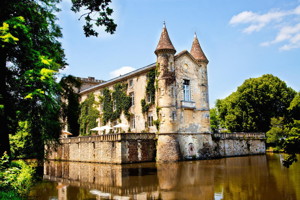 Chateau Lamothe Du Prince Noir - B&B Saint-Sulpice-et-Cameyrac Exterior photo